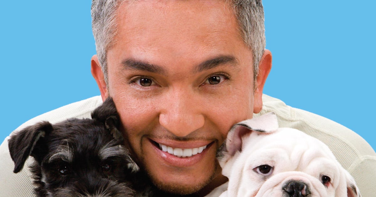 Cesar millan puppy new arrivals